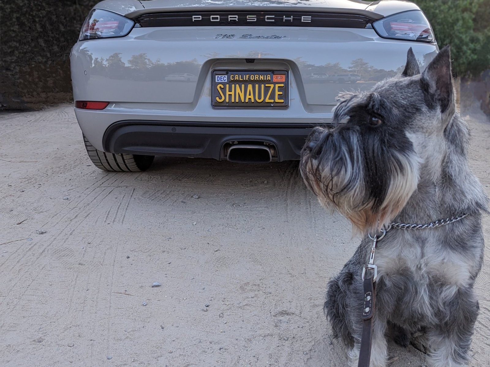 Cover image for public collection