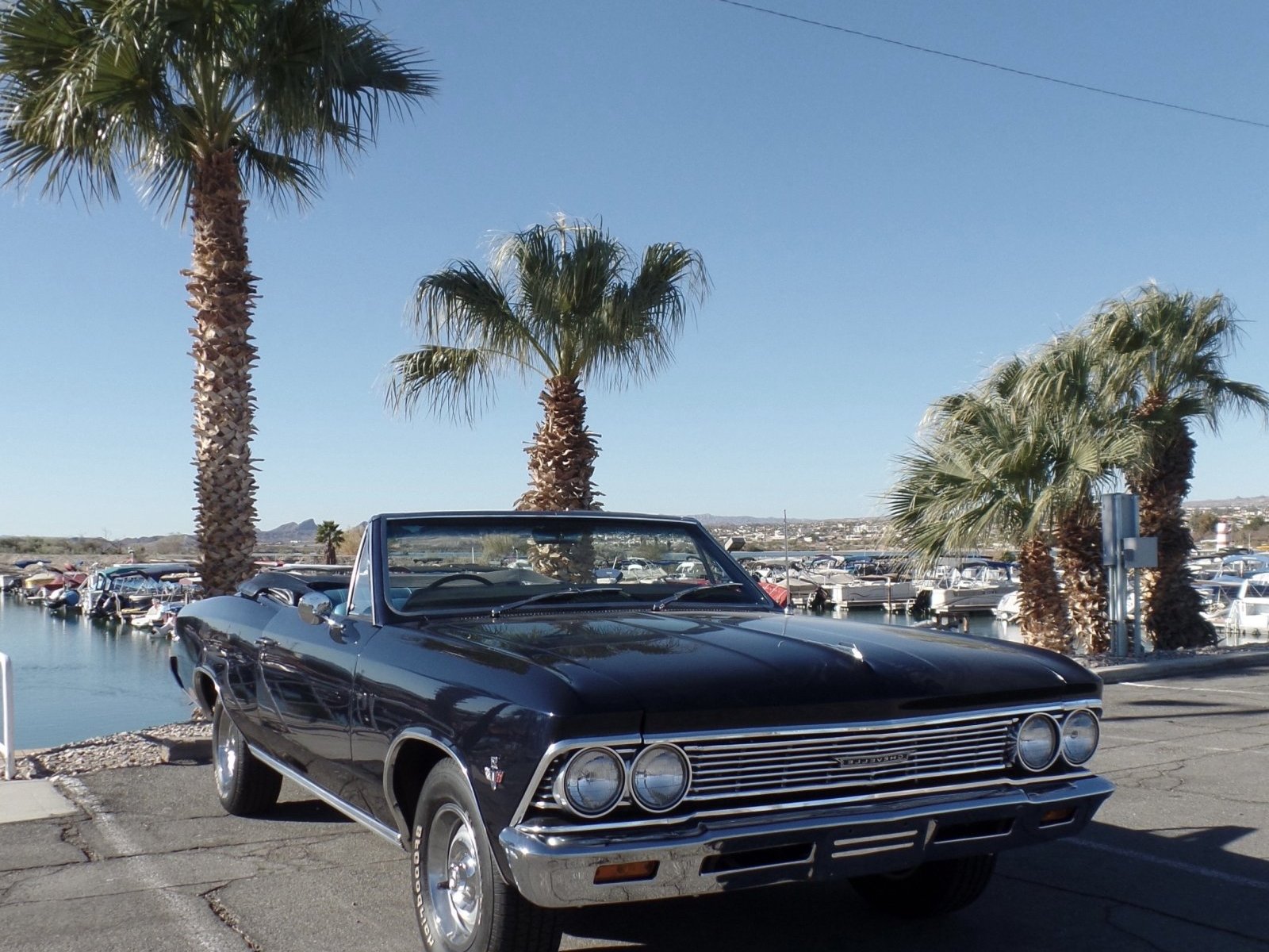 Cover image for public collection