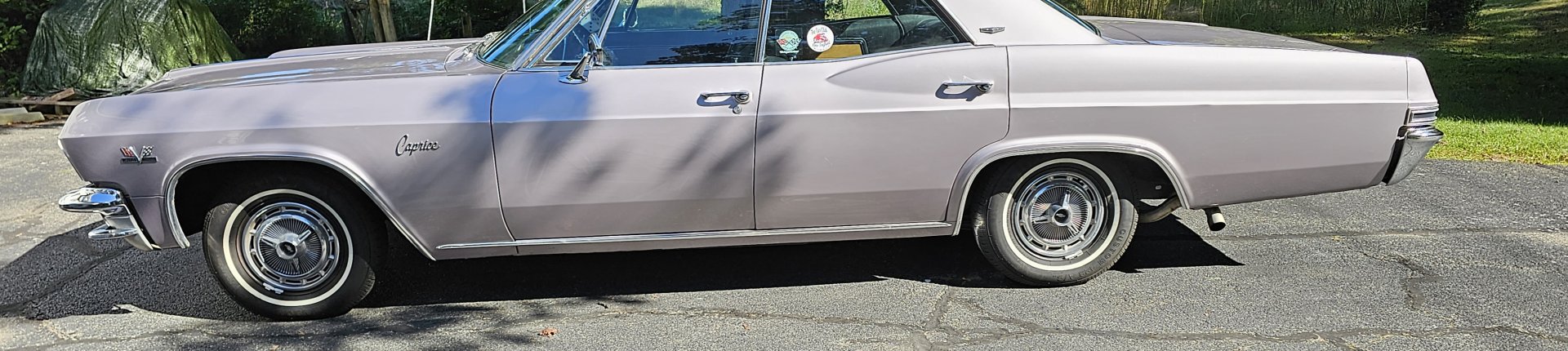 Cover image for public collection