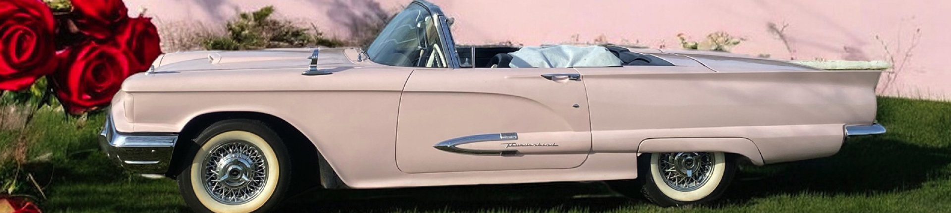 Cover image for public collection