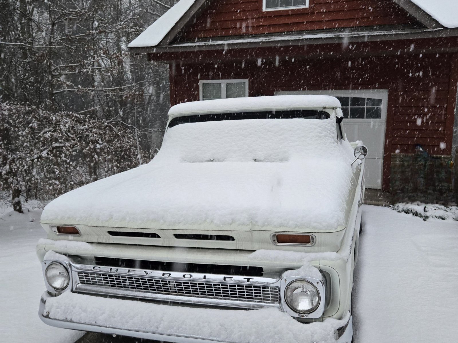 Cover image for public collection