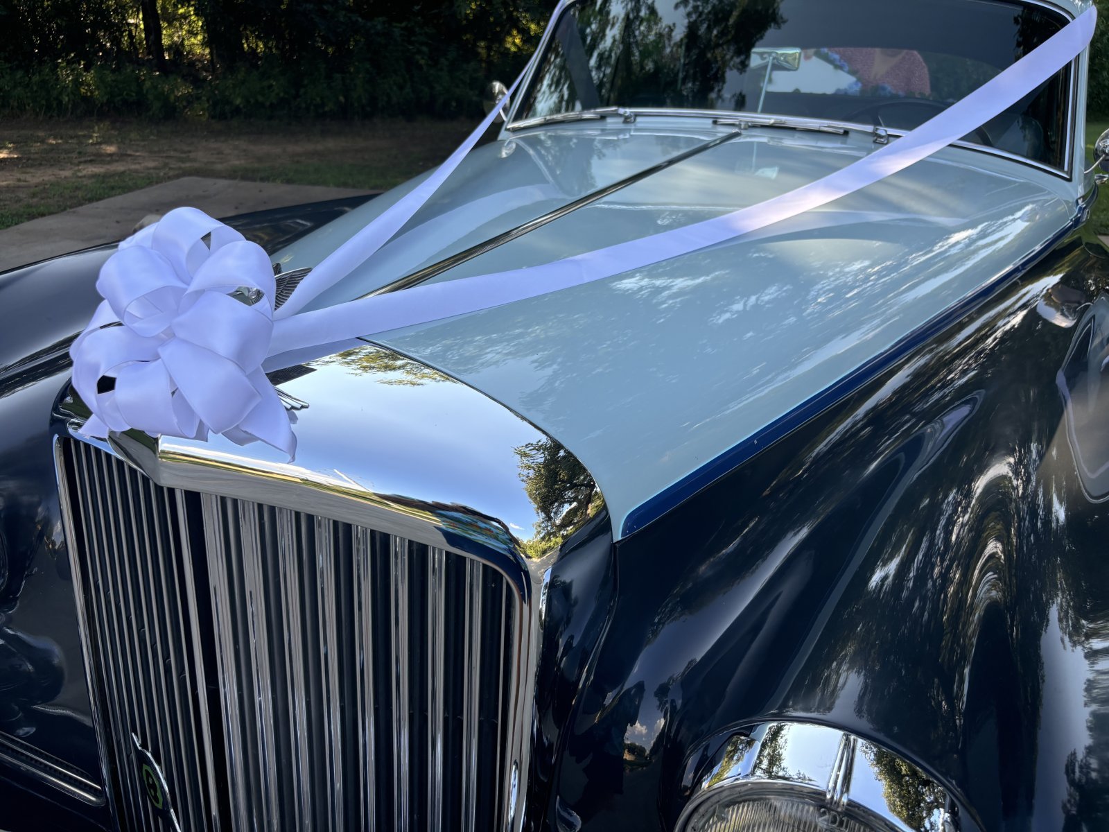 Cover image for public collection