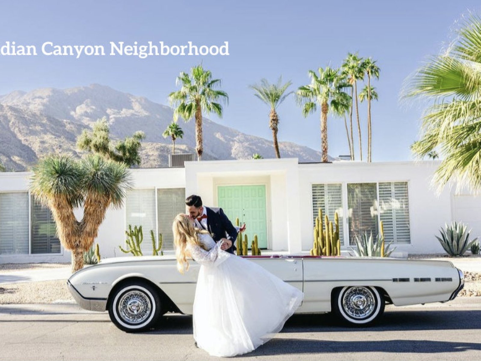 Cover image for public collection