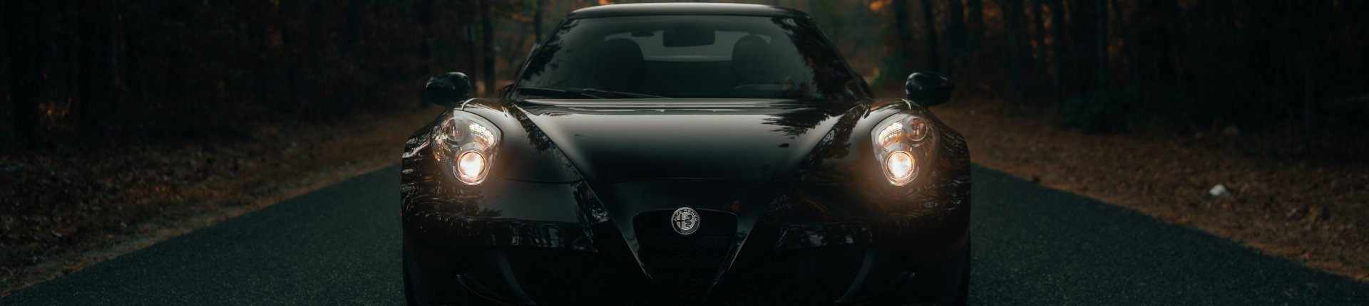 Cover image for public collection