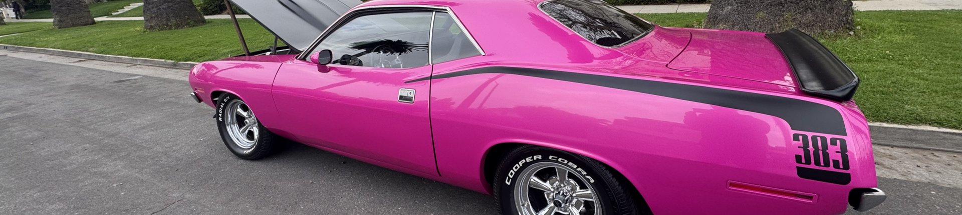 Cover image for public collection