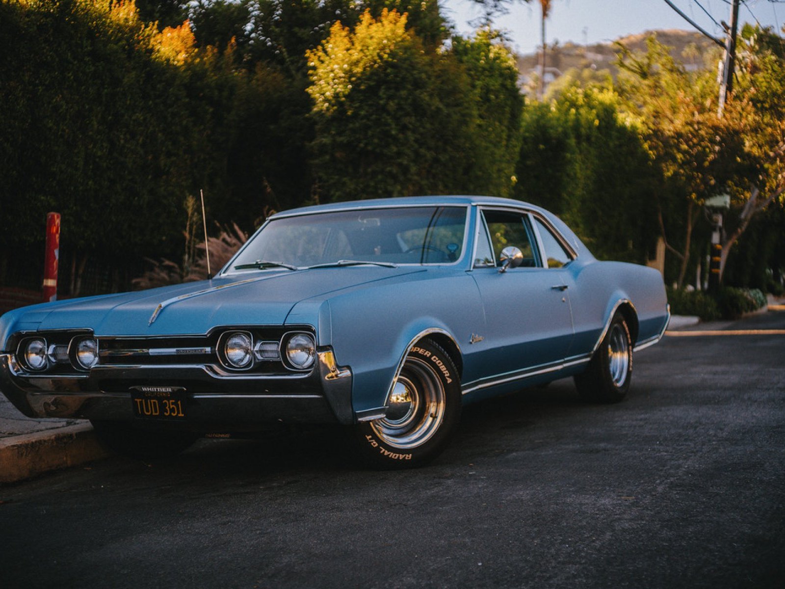 Cover image for public collection