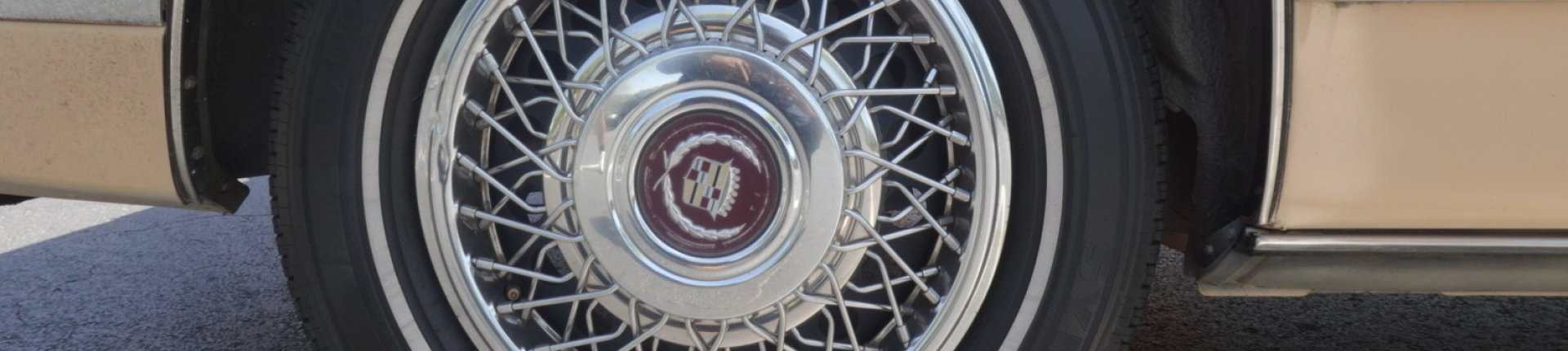 Cover image for public collection