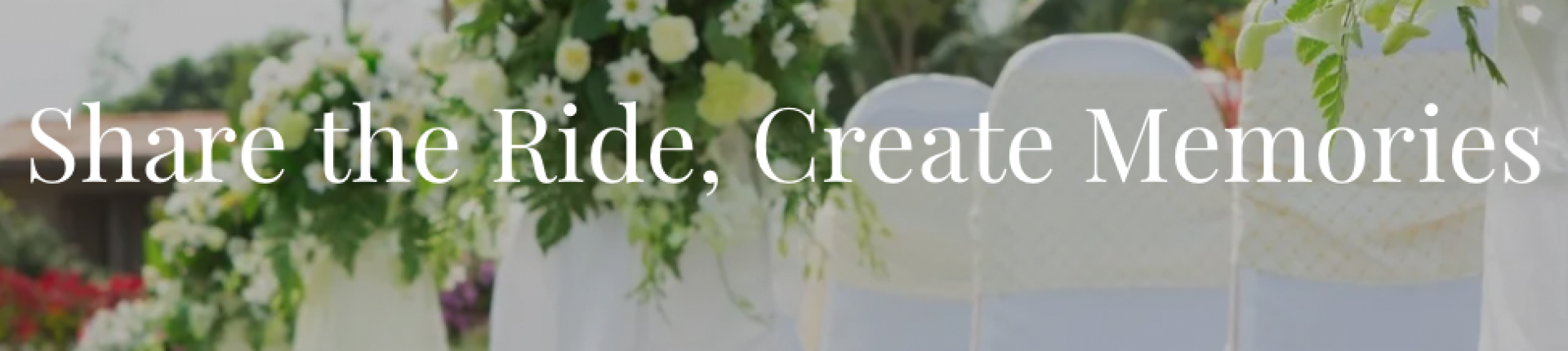 Cover image for public collection