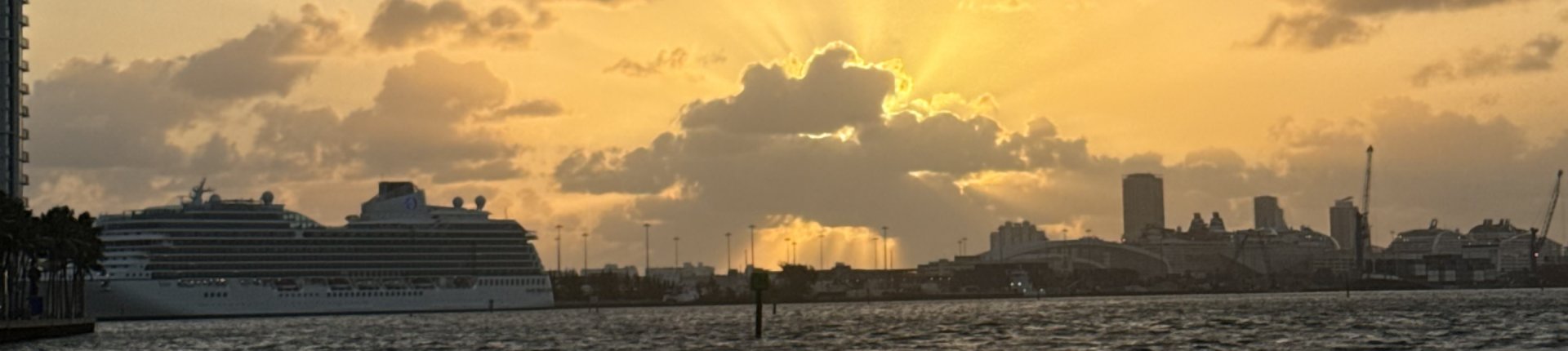 Cover image for public collection