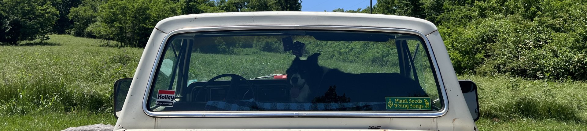 Cover image for public collection