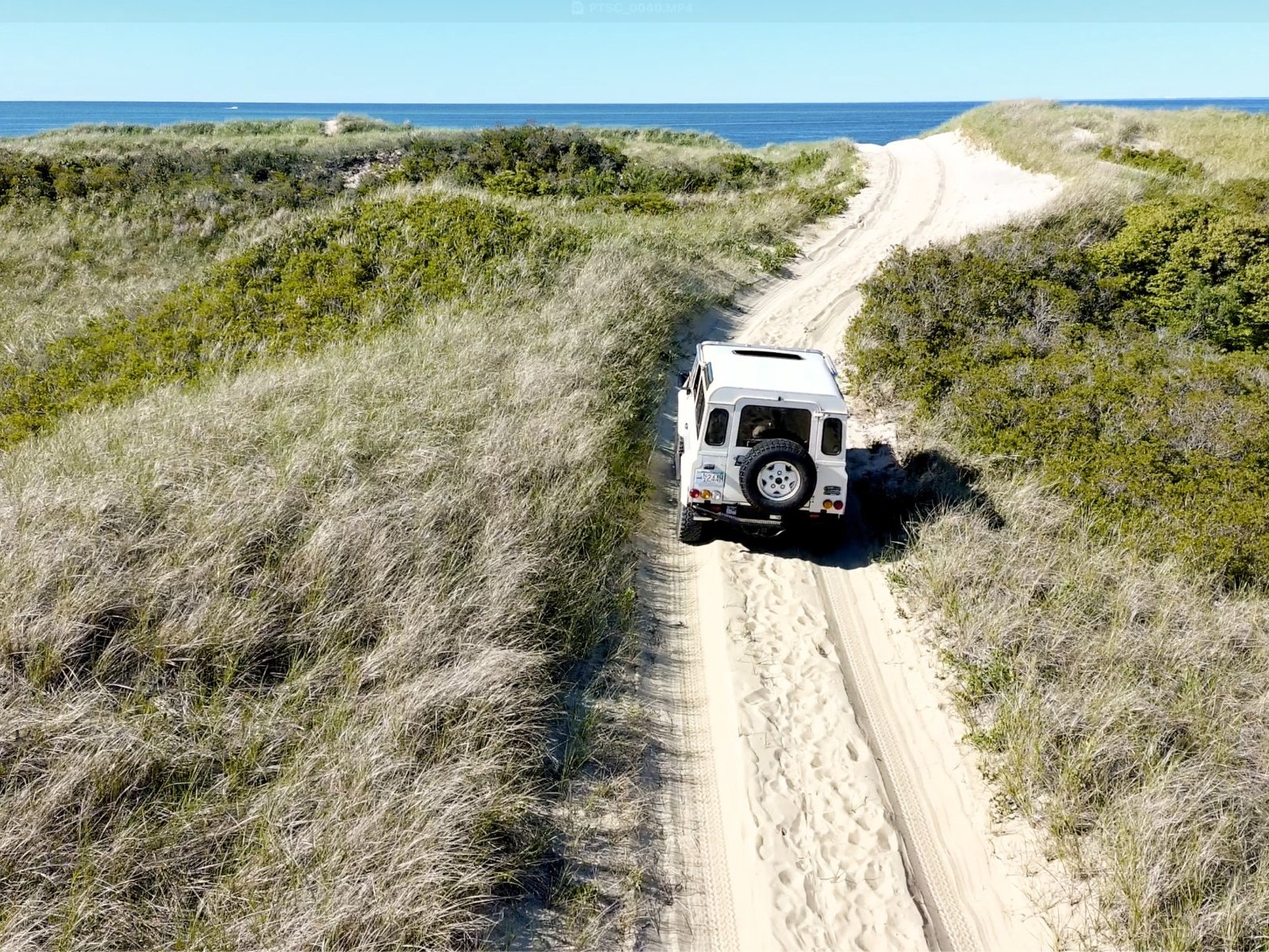 Cover image for public collection