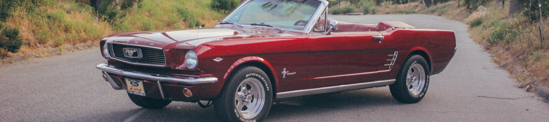 Cover image for public collection