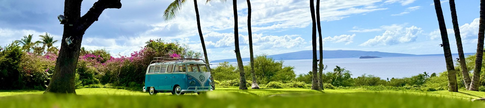 Cover image for public collection