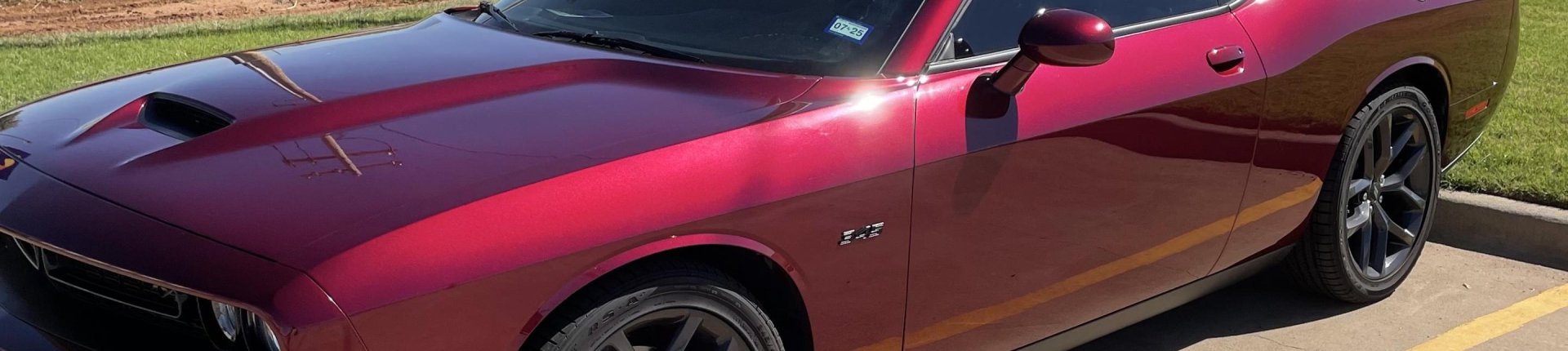 Cover image for public collection