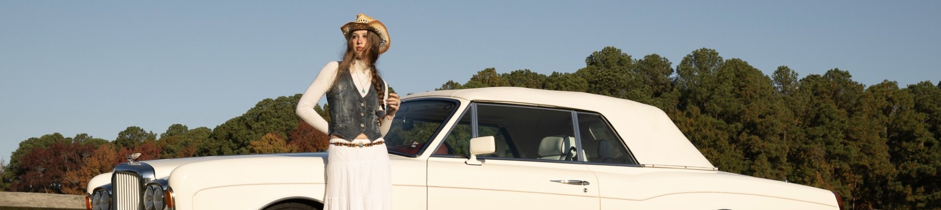 Cover image for public collection