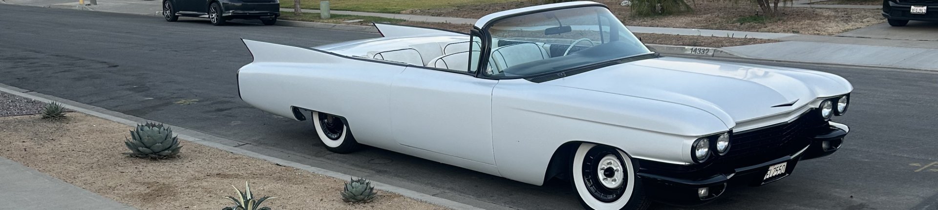 Cover image for public collection