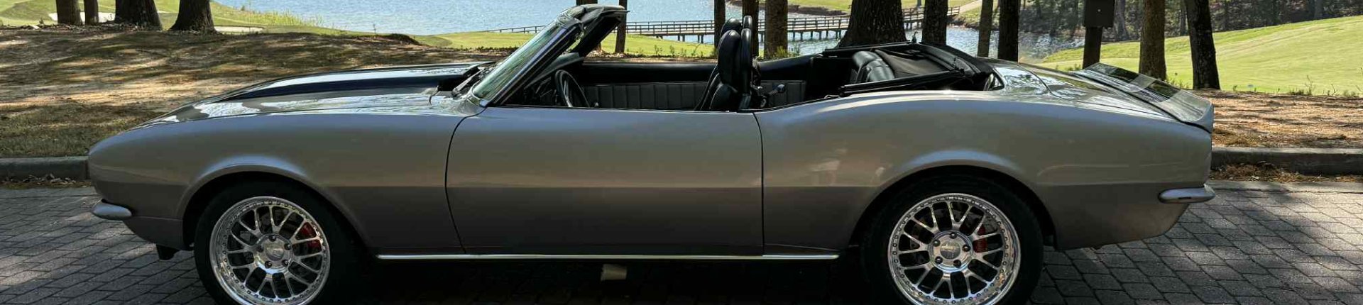 Cover image for public collection