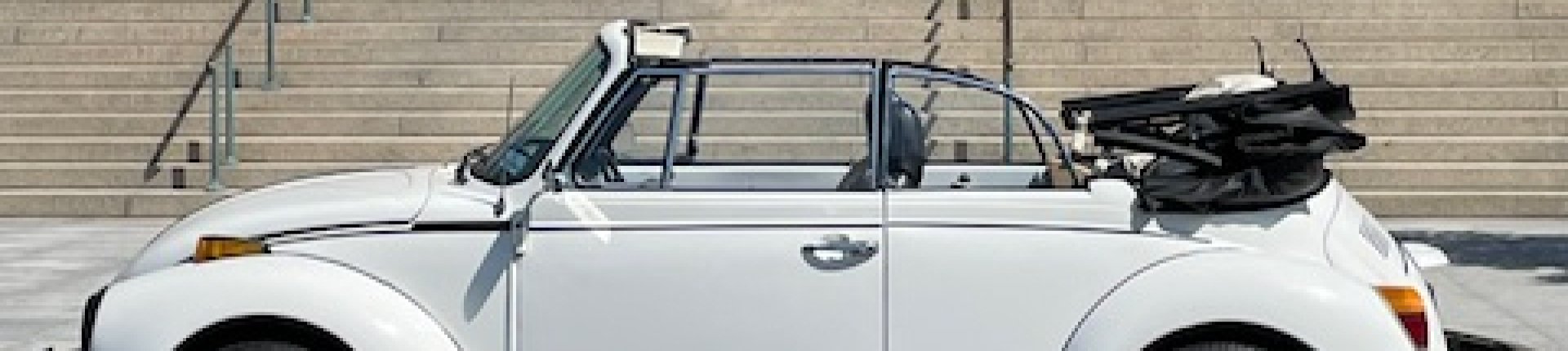 Cover image for public collection