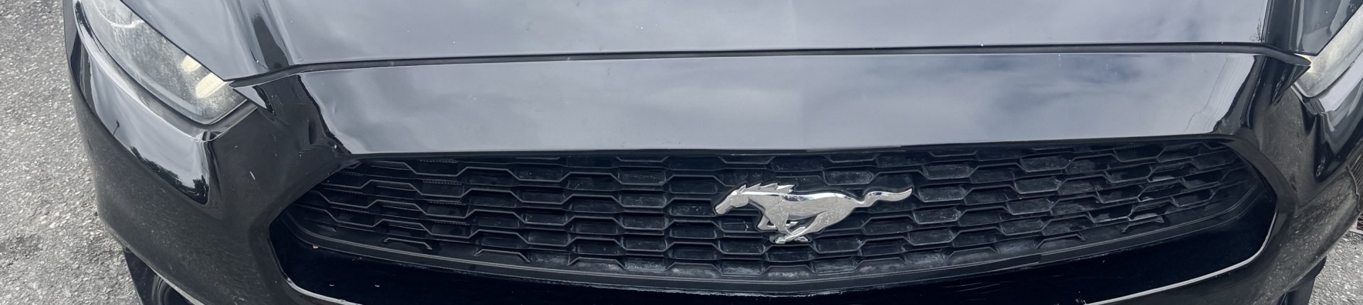 Cover image for public collection