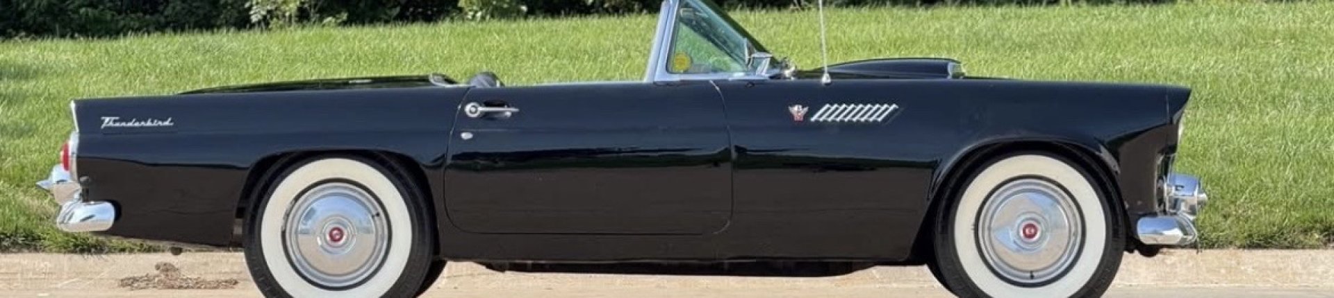 Cover image for public collection