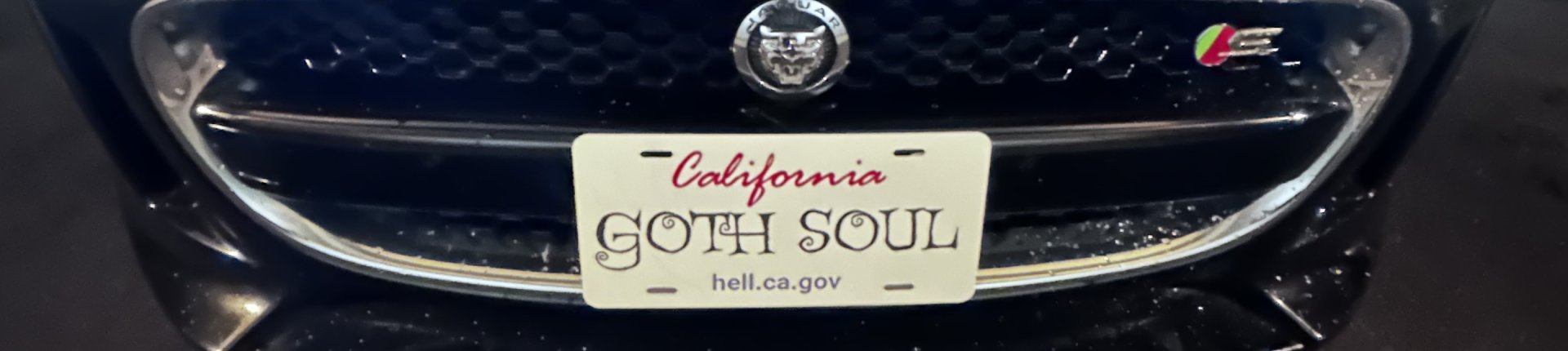 Cover image for public collection