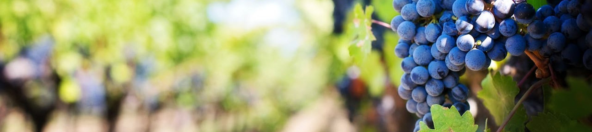 Cover image for public collection