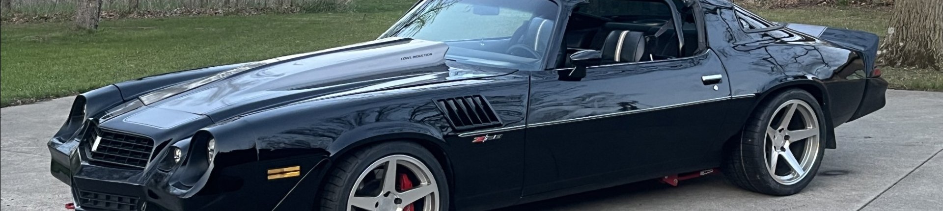 Cover image for public collection