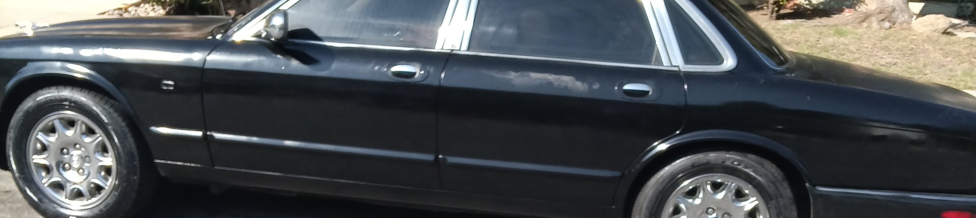 Cover image for public collection