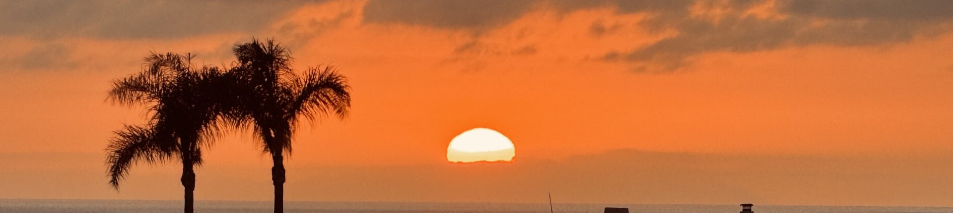 Cover image for public collection