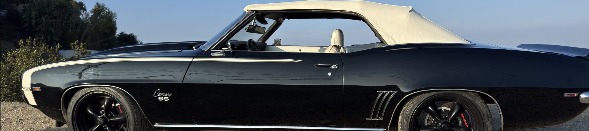 Cover image for public collection