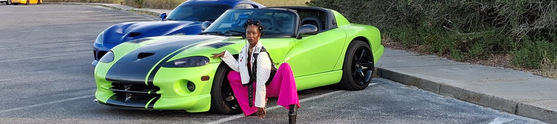 Cover image for public collection