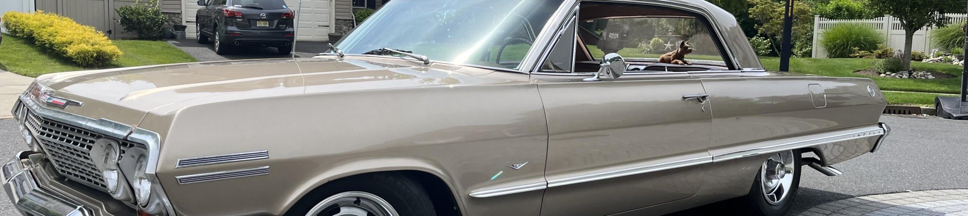 Cover image for public collection