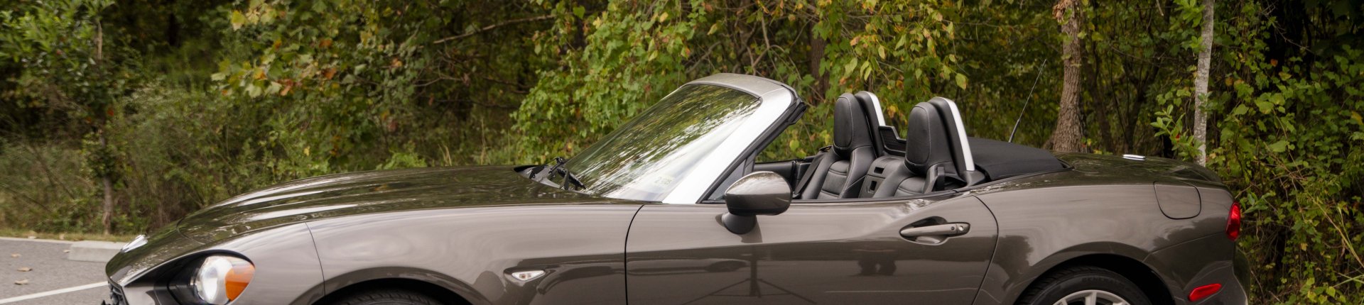 Cover image for public collection