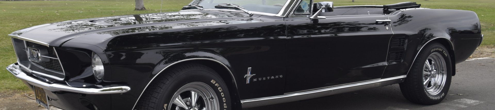 Cover image for public collection