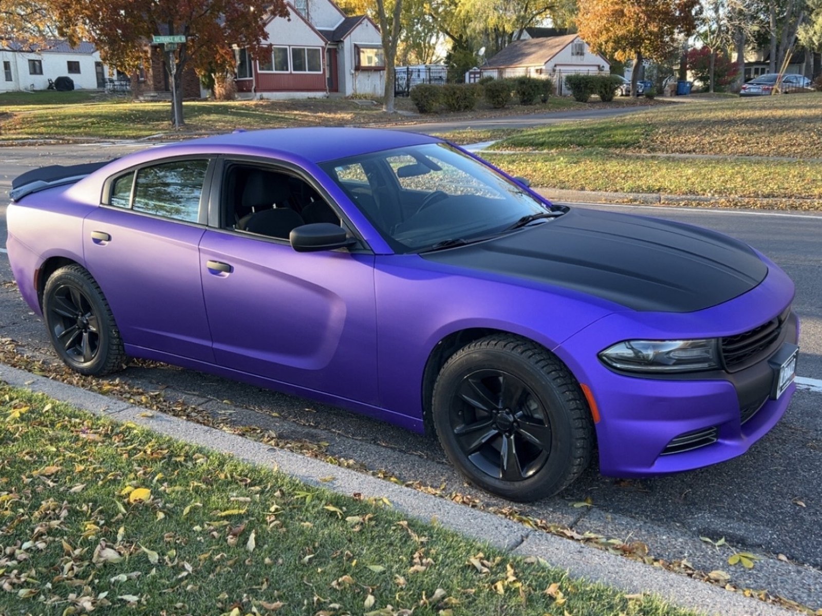 Cover image for public collection