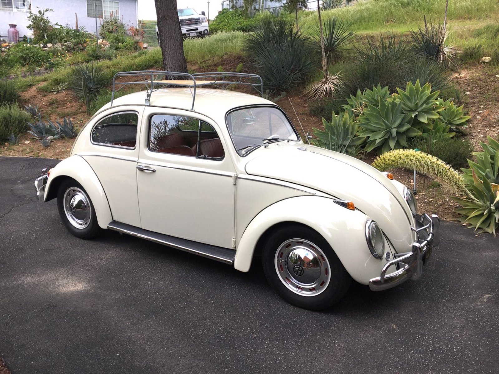 Cover image for public collection