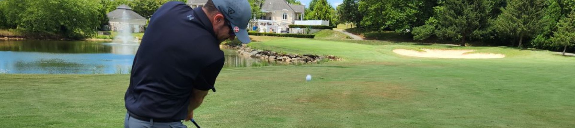 Cover image for public collection