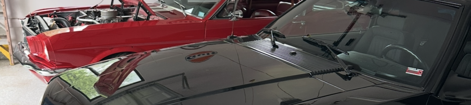 Cover image for public collection