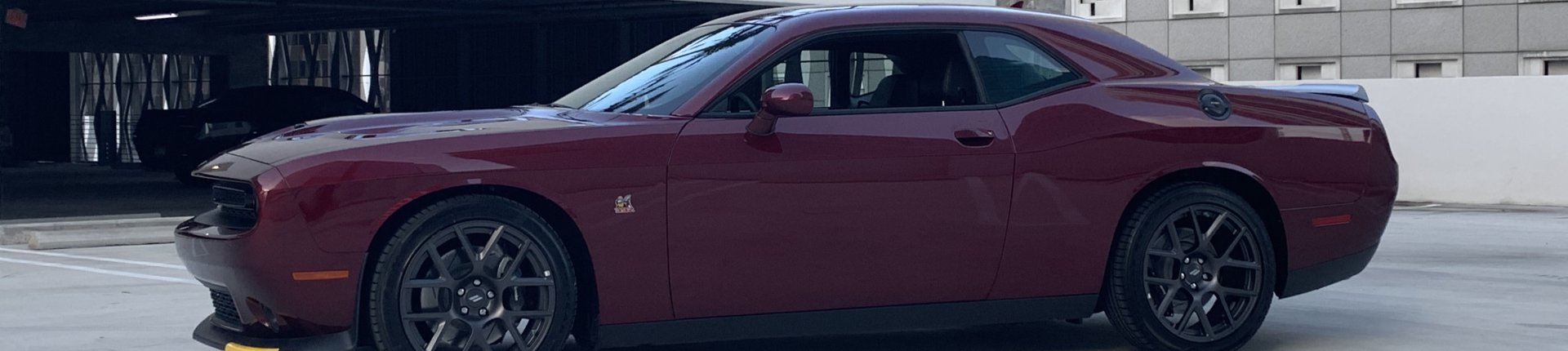 Cover image for public collection