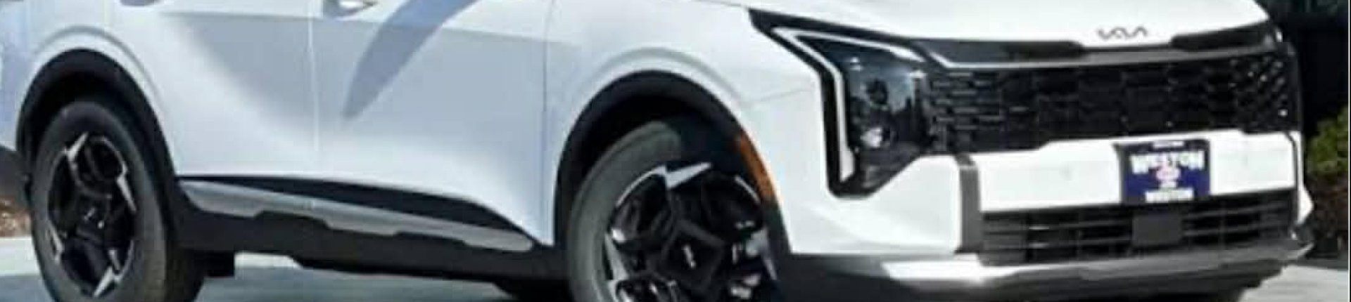 Cover image for public collection