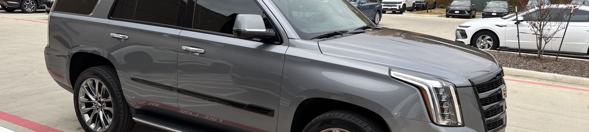 Cover image for public collection