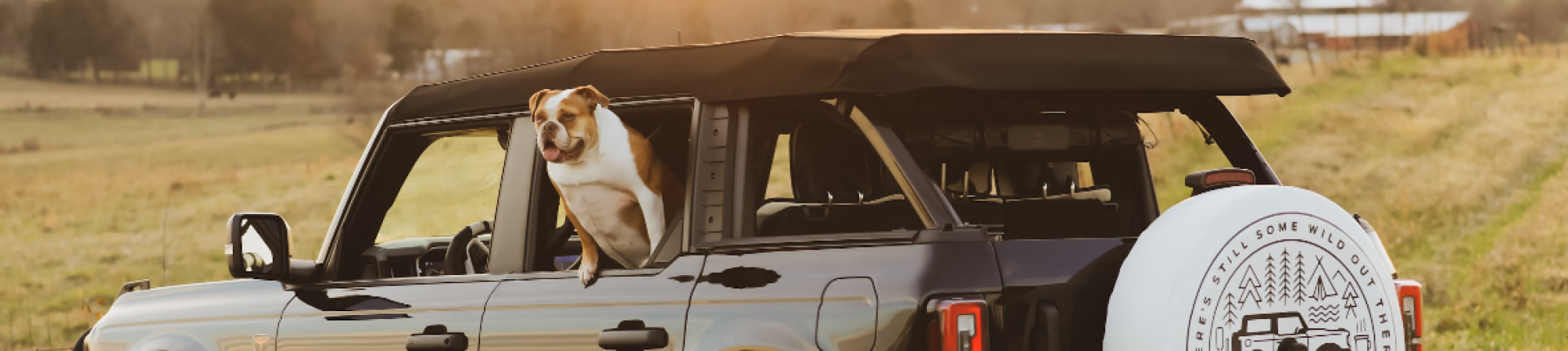 Cover image for public collection