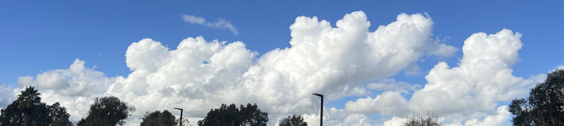 Cover image for public collection