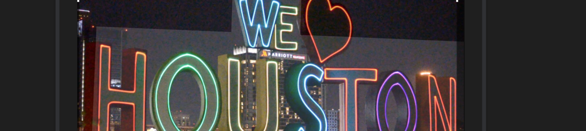 Cover image for public collection