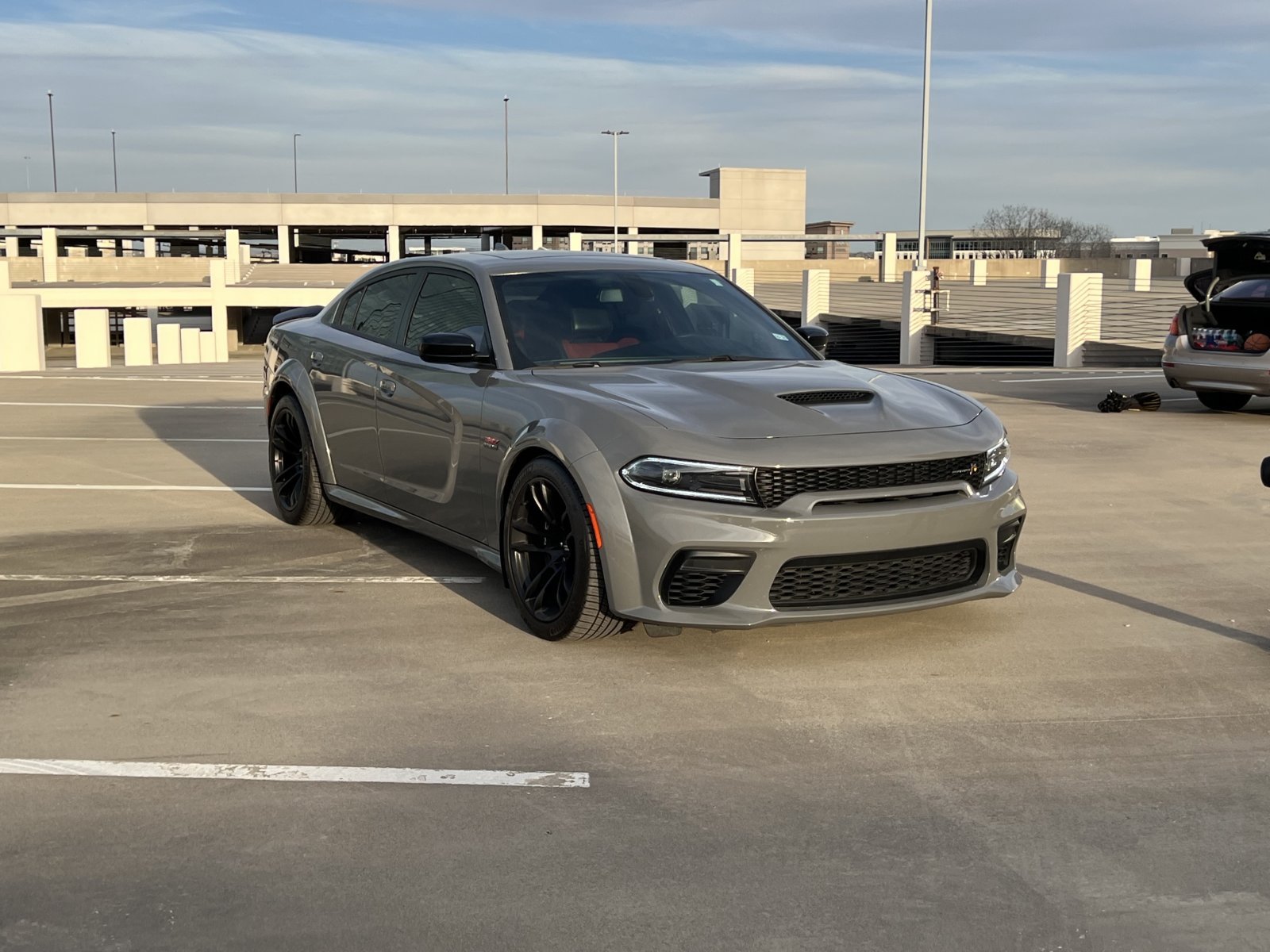 Cover image for public collection