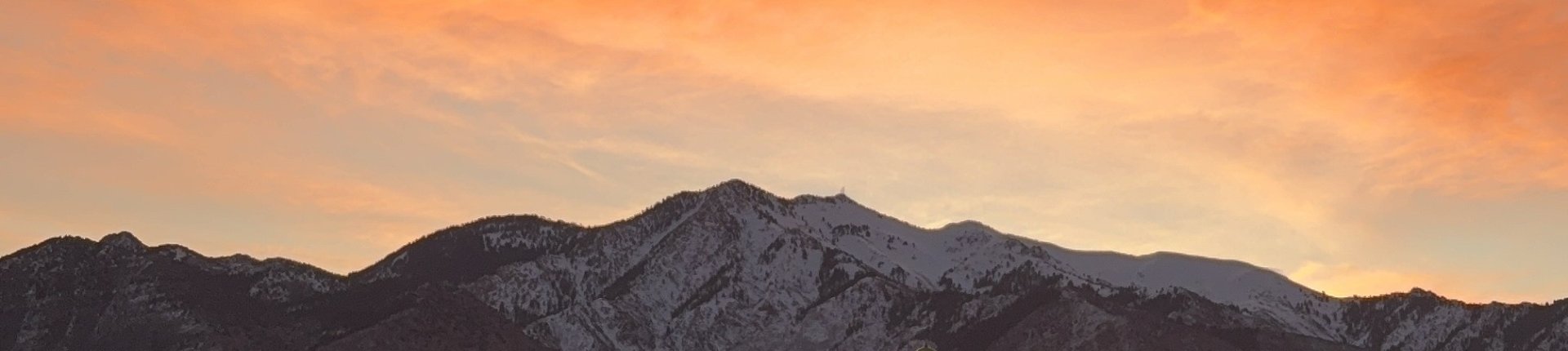 Cover image for public collection