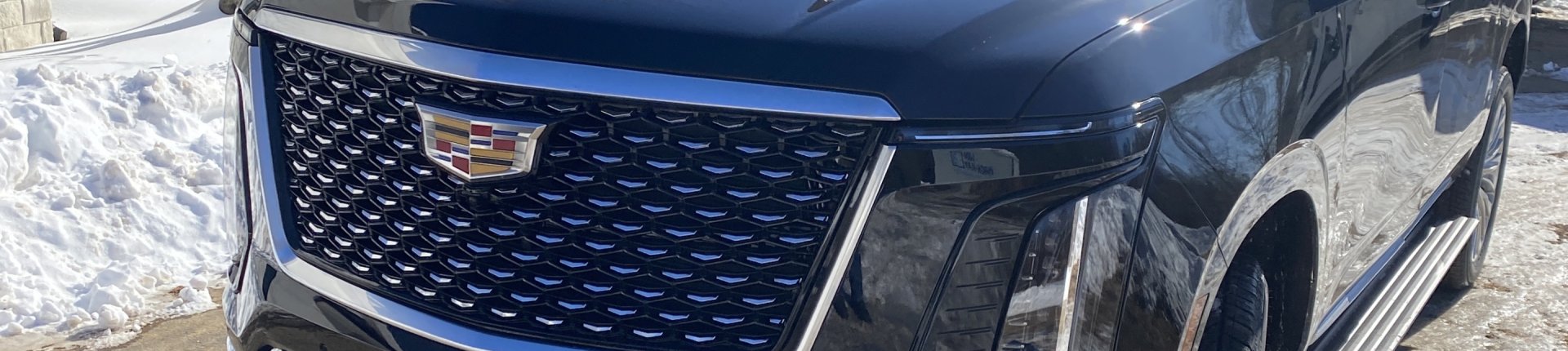 Cover image for public collection