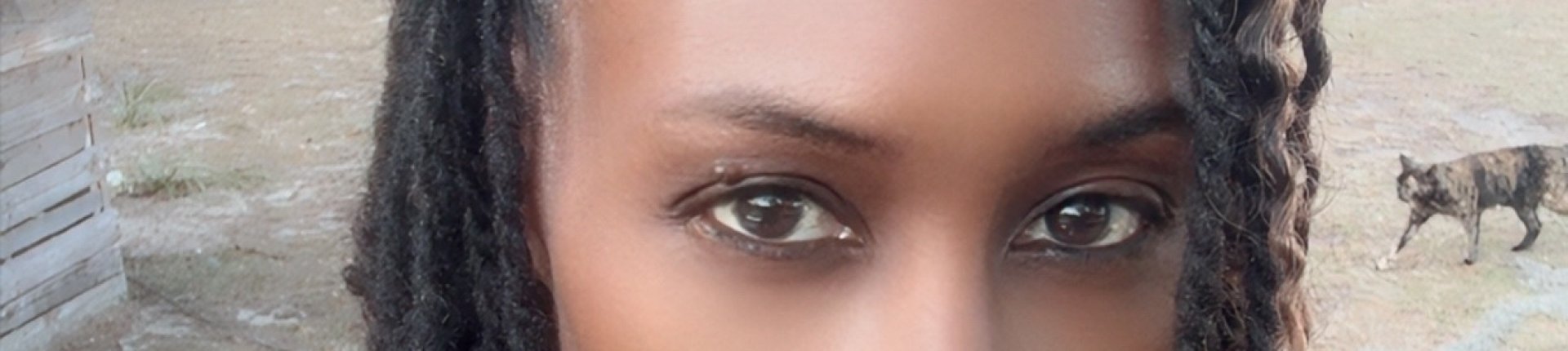 Cover image for public collection