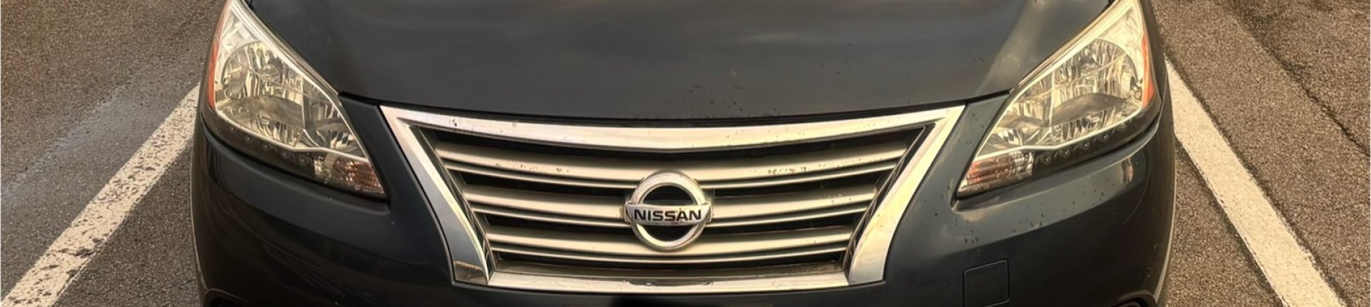 Cover image for public collection