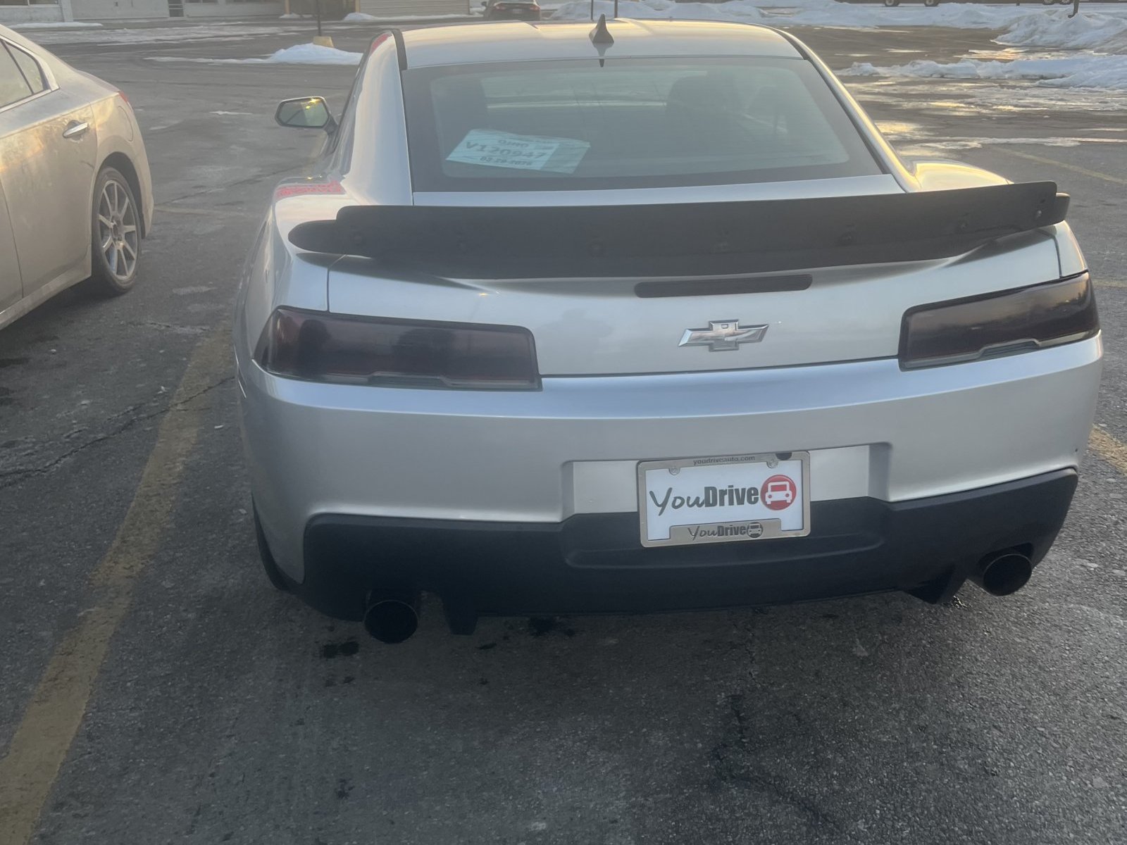 Cover image for public collection